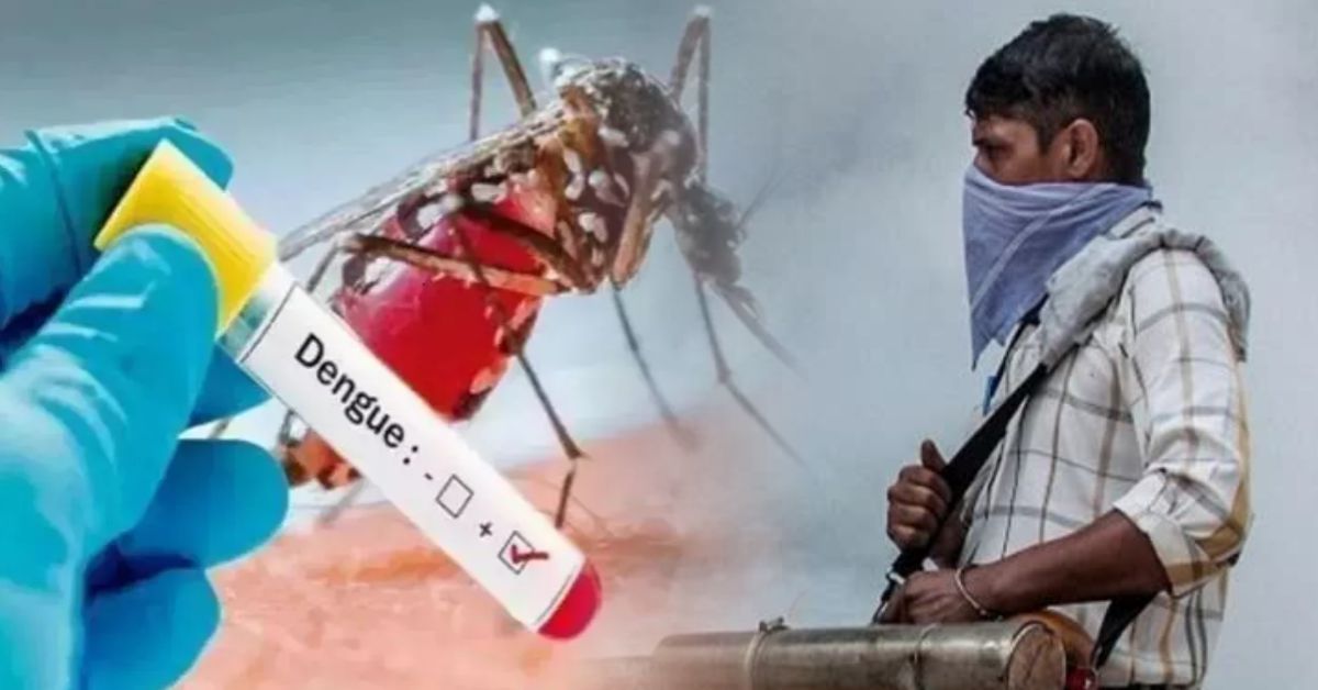 गाजियाबाद में डेंगू का प्रकोप: 28 दिन में 101 नए मरीज