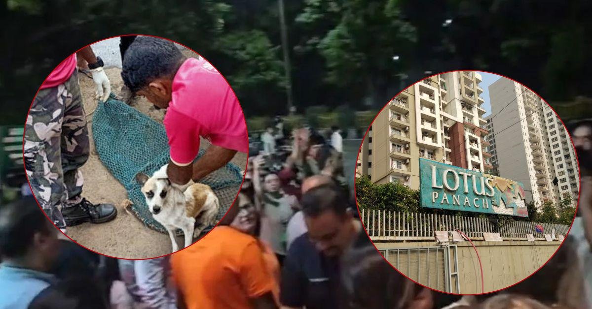 लोटस पनाश सोसायटी में आवारा कुत्तों को पकड़ने आई टीम और डॉग लवर्स आमने-सामने